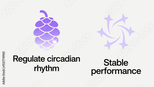 Purple pine cones and star patterns represent the regulation of circadian rhythm and stable performance, suitable for health management and sleep product scenarios.
