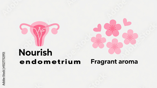 Pink uterus and flower pattern, representing nourishing endometrium and fragrant aroma, suitable for women's health care and fragrance product scenes.