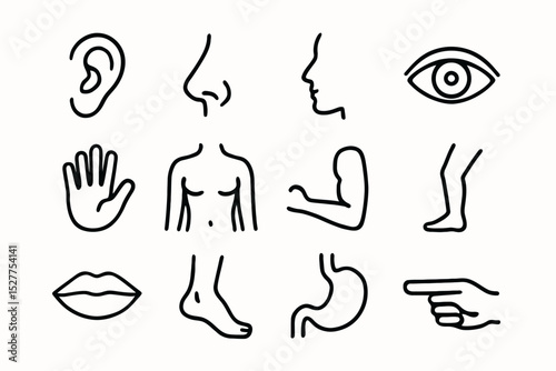 Simple outline icons of human body parts and senses in black on white