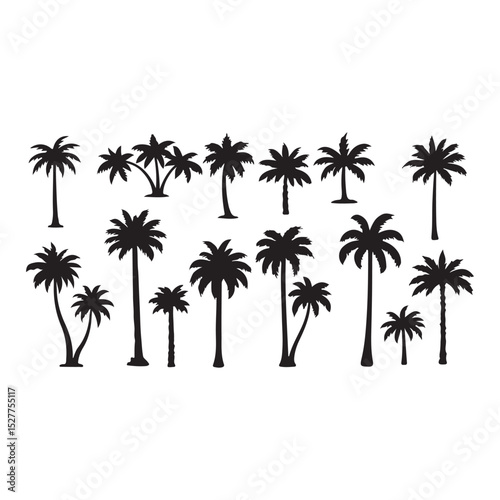 Set of black palm tree silhouettes isolated on white background. Vector illustration.