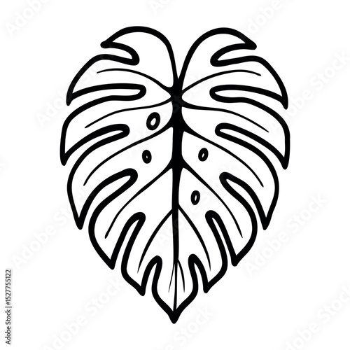 Black and white line drawing of a Monstera deliciosa leaf with characteristic holes and splits, botanical illustration of tropical plant foliage.