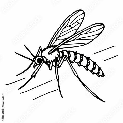 the mosquito