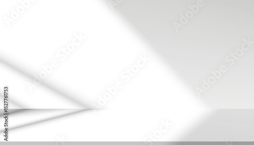 Gray window light and shadow on white background,Vector minimalist blur abstract lines shadow overlay effect,Ideas elements design for Studio room,interior wall room or product display mock up