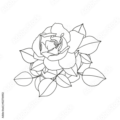 Rose branch with leaves. Coloring page for adults and children.
