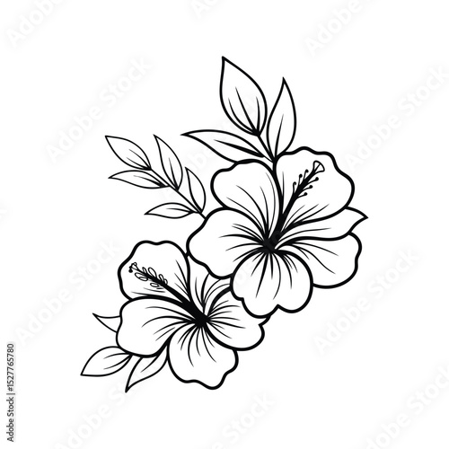 Elegant black and white illustration of two hibiscus flowers with leaves on white background