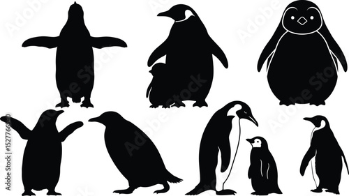 Detailed Penguin Silhouettes - Isolated Flightless Birds for Design Projects,Penguin Silhouette Vector Bundle 
