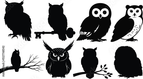 Set of Owl Silhouettes - Perched on Key, Branch, and Full Body Views,Owl Silhouette Vector Bundle - Birds of Prey, Wisdom,Detailed Owl Silhouettes
