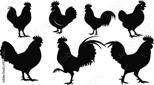 Set of Rooster Silhouettes - Standing, Walking, and Crowing Poses,Diverse Rooster Silhouettes - Iconic Farm Bird, Rural Life, and Country Vector
