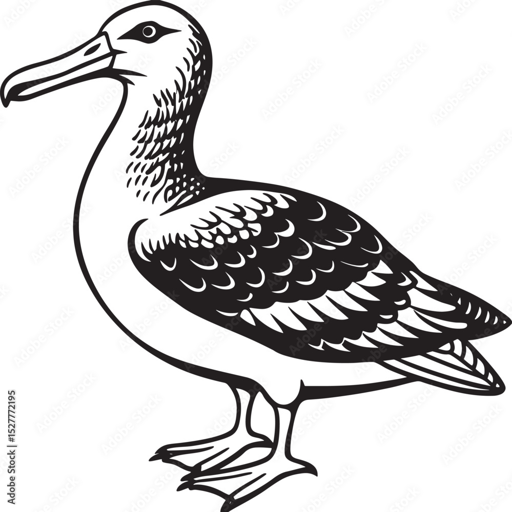 Obraz premium vector illustration of cartoon duck