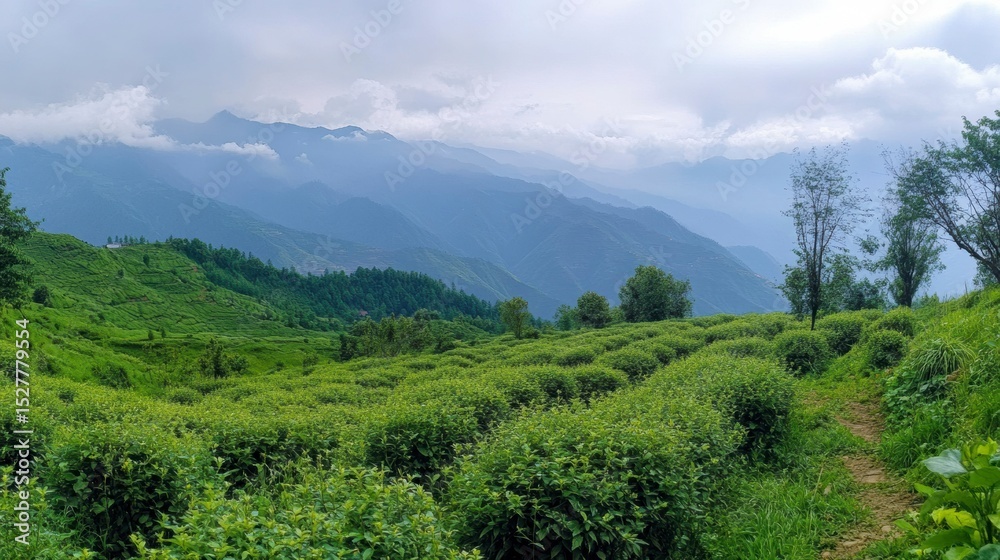 Obraz premium Scenic panorama of Annapurna range from Poon Hill viewpoint, layers of mountains fading into the mist, no people