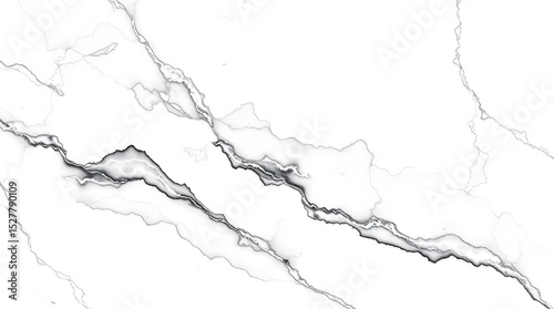 texture of the white and black marble stone
