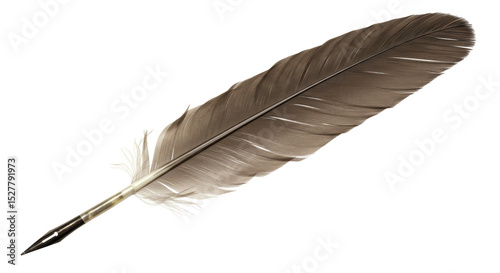 Isolated Feather Quill Pen