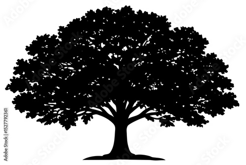 Black silhouette of a large deciduous tree