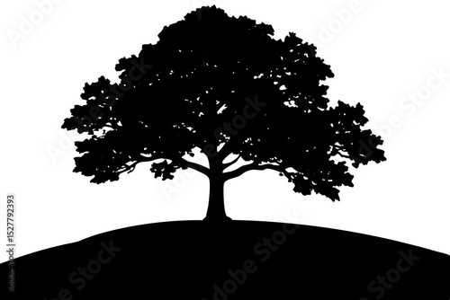 Silhouette of a large tree on a hill