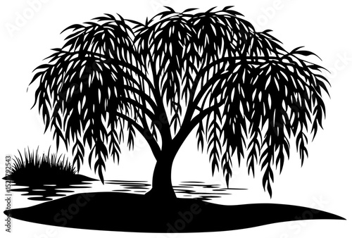 Weeping willow tree by water silhouette