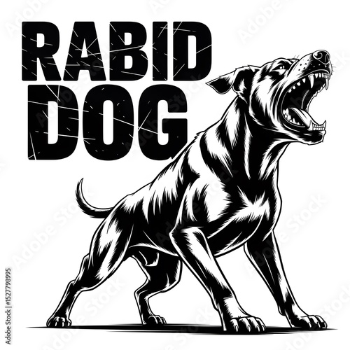 A monochrome illustration showcases an angry dog with its mouth wide open, displaying its teeth, conveying a sense of aggression and danger.