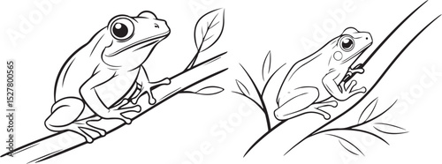 hand drawn vector illustration of a frog on a branch