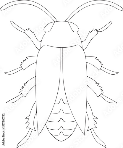 vector illustration of a bug