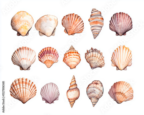 Watercolor ai-generared illustration of a Seashell Collection. Isolated on a white background