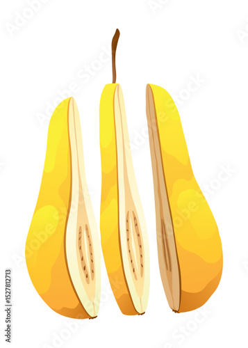 Yellow pear food cut half, piece, part and slice chopped of fruit. Harvest ripe fruit. Popular healthy garden food pear. Vector flat illustration