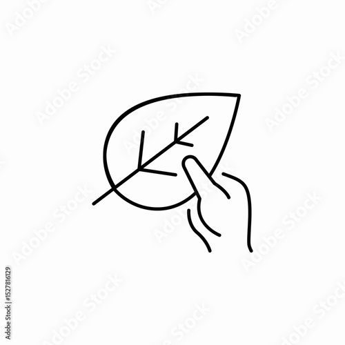 nature leaf icon sign vector