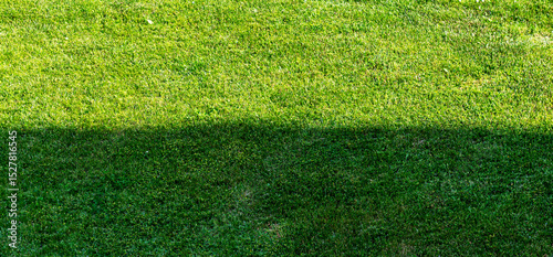 Green grass background divided by shadow. Mown lawn, shadow falls on the grass, visually dividing it in half.