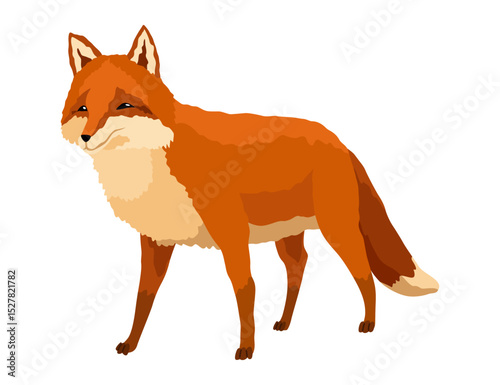 Red fox. Funny character, forest mammal predator. Cartoon forest animal, mammal with cute emotion on face. Orange fox, wildlife animal, isolated on white background