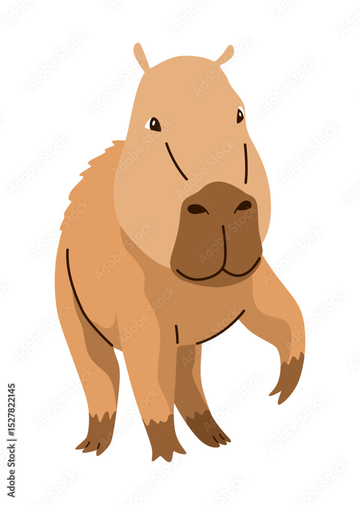 Obraz premium Capybara. Cartoon cute animal, wild herbivore mammal resting. Funny adorable exotic animal relaxing. Cartoon flat vector illustration