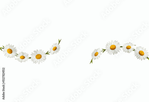 Floral daisy garland with white flowers and yellow centers on white background  