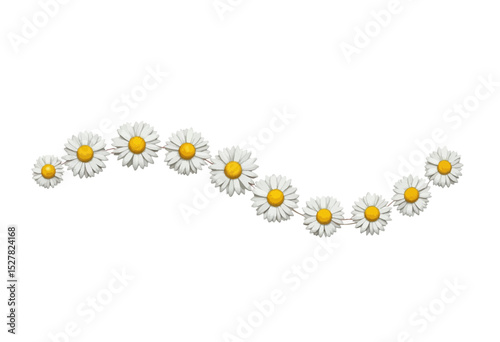 Decorative line of daisies with yellow centers on white background  