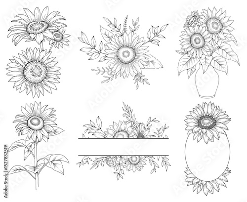 Collection of  sunflowers and decorative frames, hand drawn botanical line drawing, vector floral line art illustration for wedding, logo, advertising, packaging
