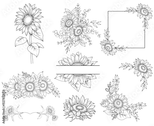 Collection of  sunflowers and decorative frames, hand drawn botanical line drawing, vector floral line art illustration for wedding, logo, advertising, packaging