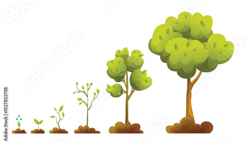Trees Growth Stages Throughout Various Times and Seasons
