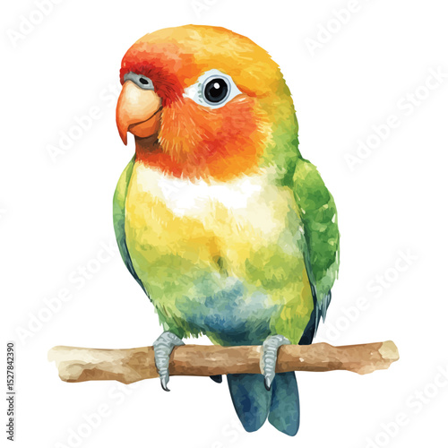 Lovebird, watercolor painting vector, high quality, isolated on a white background.