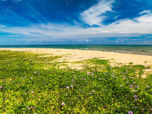 Beautiful sea beach nature background,High Angle view beach sea background.