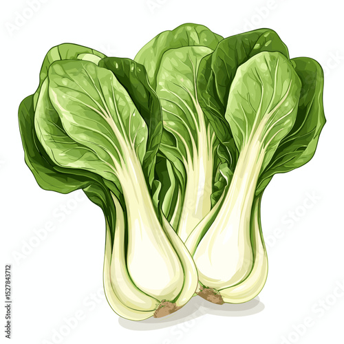 Fresh Bok Choy
