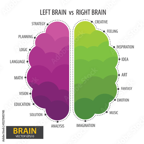Left and right human brain concept. Infographics brain design. vector illustration.