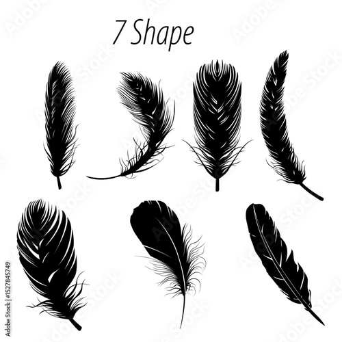 Seven black feathers with detailed barbs and shafts arranged on a white background in various shapes