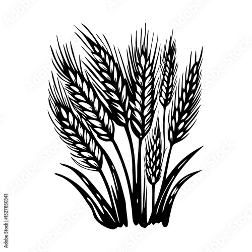 A vintage style illustration of wheat field