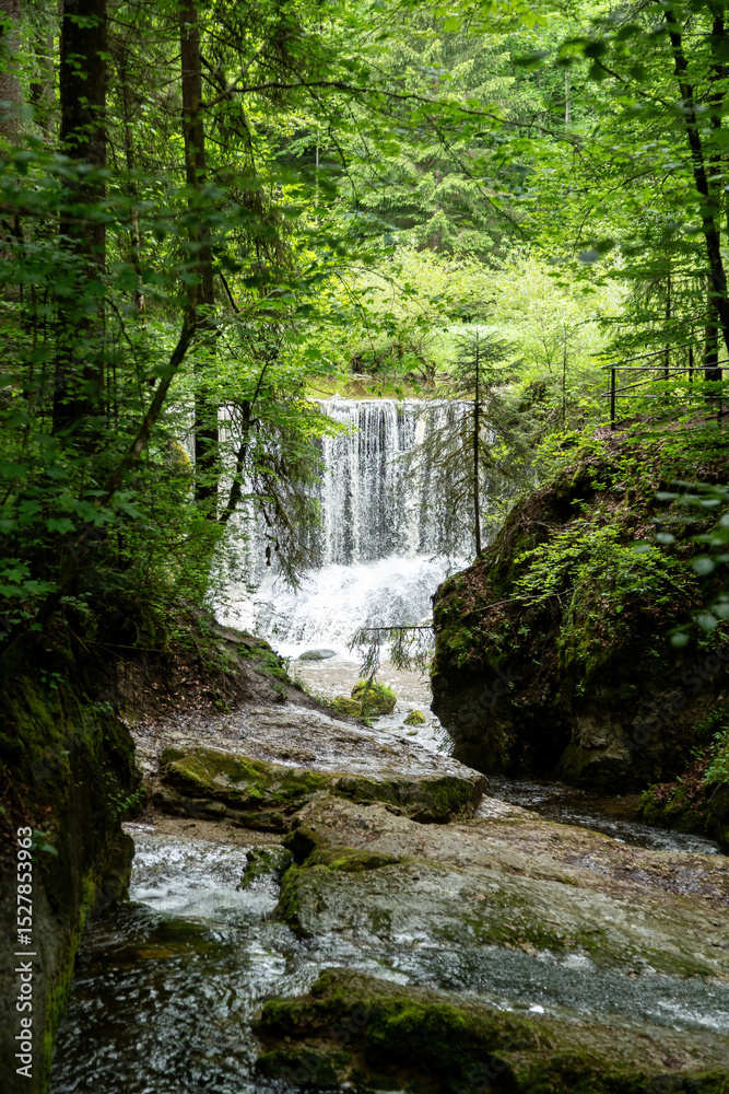 Obraz premium Waterfall in the Forest