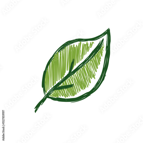  simple illustration of green leaf with dark outline isolated on white background