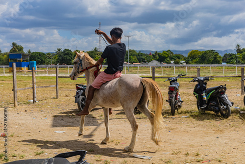 East sumba, Indonesia – 06. 10. 2025 – Horse owners gather around the measuring station to determine their horse's competition class and are ready to pay the registration fee