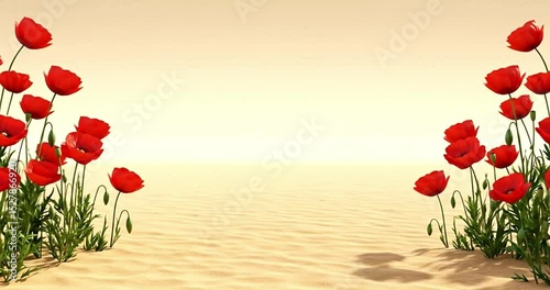 Spring flower cartoon animation with white background