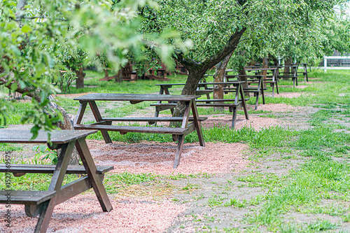Ripe apple orchard, tranquil picnic area with weathered benches, autumn leaves, dirt path, towering trees, soft warm lighting