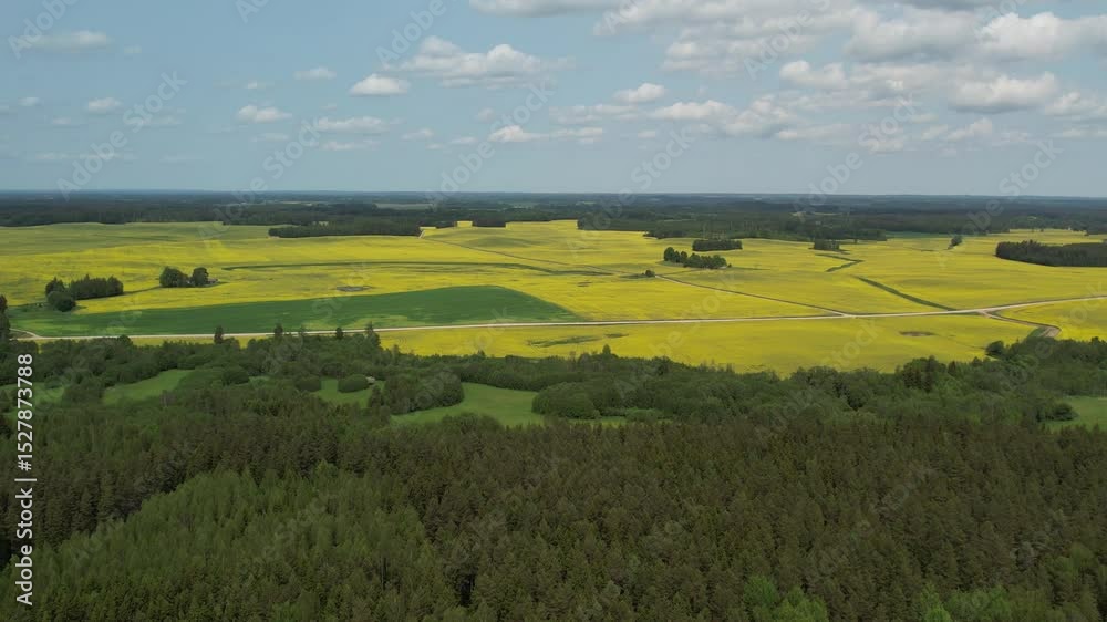 landscape with yellow fields and green fores in the summer areal view