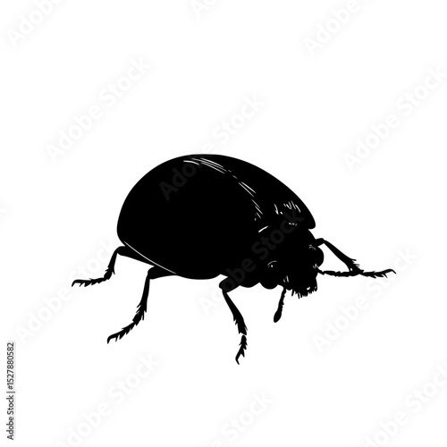 a black silhouette of a bug on a white background, illustration beetle, black, bug, drawing, illustration, insect, silhouette , Generative art.
