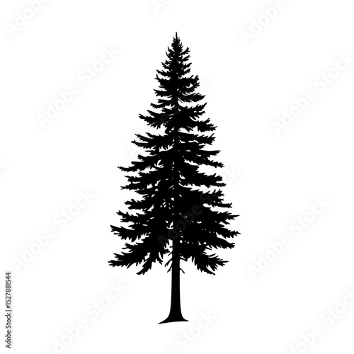 a black and white silhouette of a pine tree black, fir tree, pine tree, silhouette, tree , Generative art.