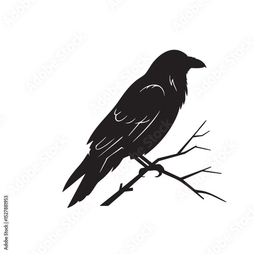 Majestic Raven Silhouette A Dark Bird Perched on a Branch Illustration