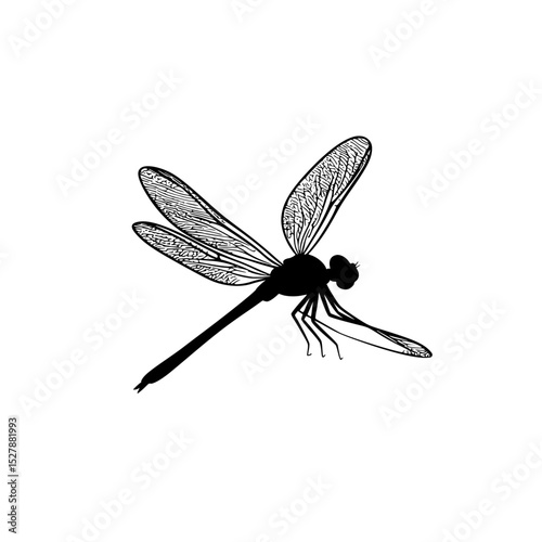 a black silhouette of a dragonfly with wings on a white background black, dragonfly, drawing, illustration, insect, silhouette, wing , Generative art.