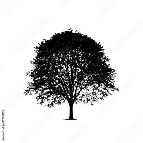 black silhouette of a tree on a white background black, silhouette, tree , Generative art.